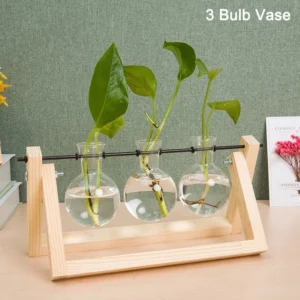 Desktop Glass Plant Terrarium with Wooden Stand