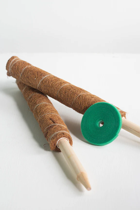 Coco Coir Plant Support Pole
