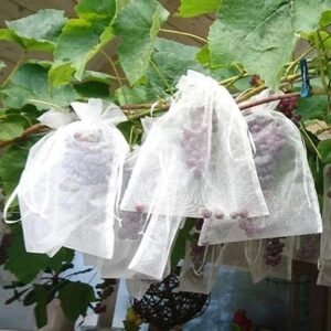 Fruit Protection Bags