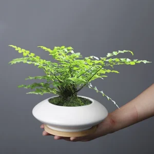 BMC Minimalist White Ceramic Plant Pot