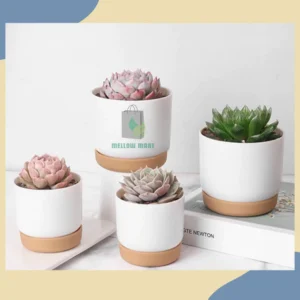 MELLOWMART Nordic Self-Watering Hydroponic Pot