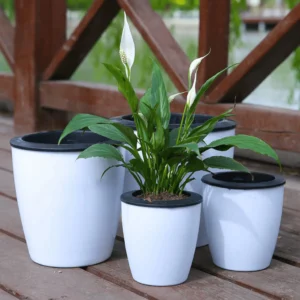 HAPPY LANDSCAPE Lazy Self-Watering Hydroponic Pot