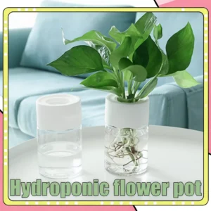 Self-Watering Hydroponic Plant Pot