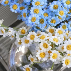 Artificial Holland Chamomile Daisy Bouquet